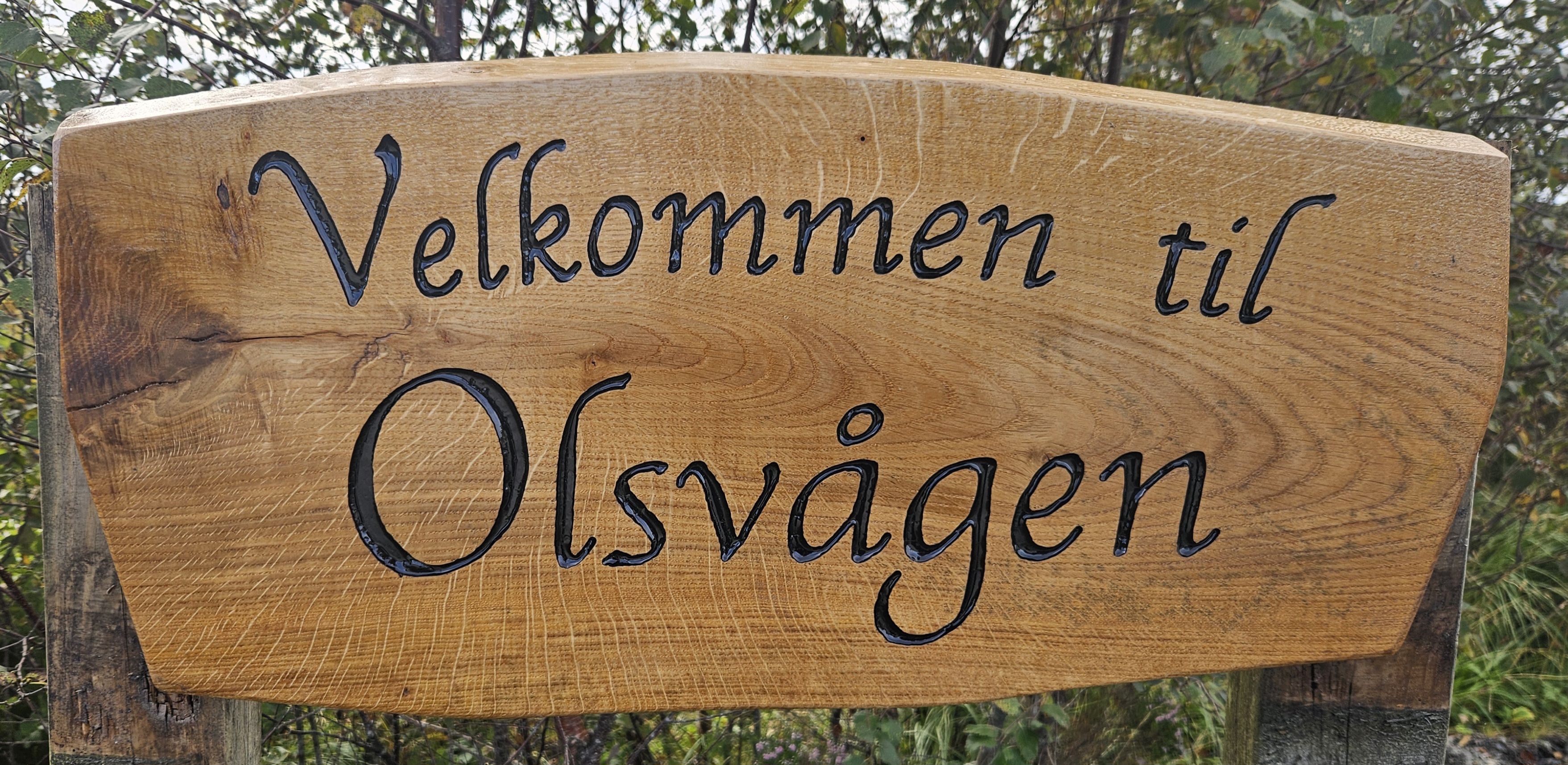 www.olhy.eu